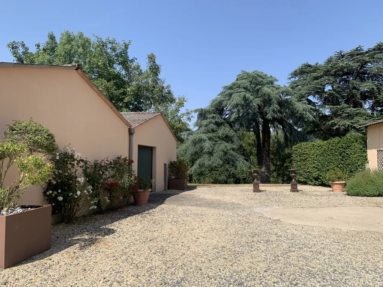 Cour gravillonnée et grands cèdres du domaine